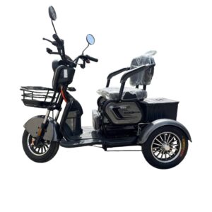 Электротрицикл "Bebib" Trike Pro Gray